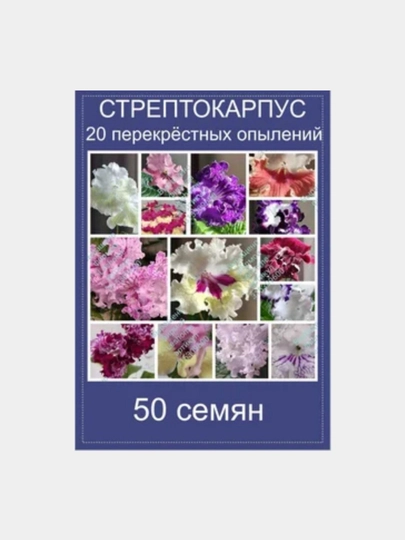 Семена комнатного цветка стрептокарпуса, 50 шт — СЕМЕЧКО-KRALUPI