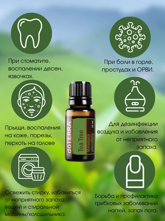 Choy daraxti efir moyi, Tea Tree, dōTERRA