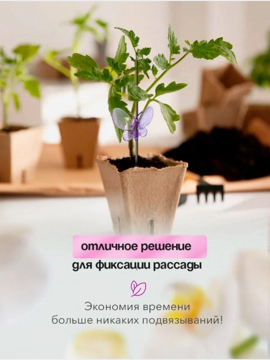 Orxideya va o'simliklar uchun kapalak klipslar, tutqichlar, 5 dona