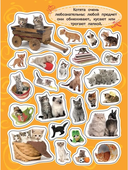 100 наклеек. Котята. Котятова Н. И.