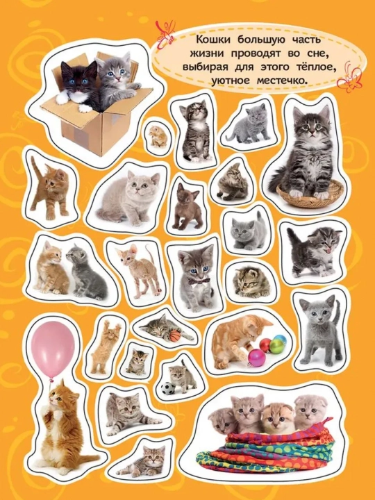 100 наклеек. Котята. Котятова Н. И.