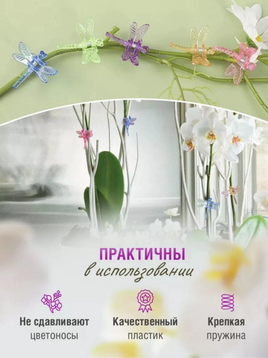 Orxideya va o'simliklar uchun Ninachi klipslar, tutqichlar, 5 dona