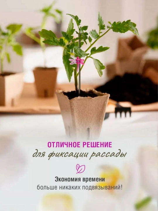 Orxideya va o'simliklar uchun Ninachi klipslar, tutqichlar, 5 dona