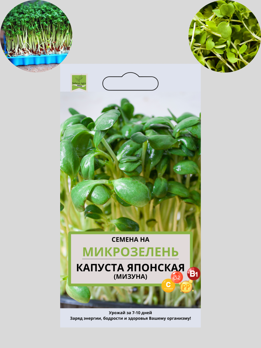 Mikroko‘katlar urug‘i, unib chiqish uchun mikroko‘katlar, mangold, daykon, bryukva, no‘xat - 
