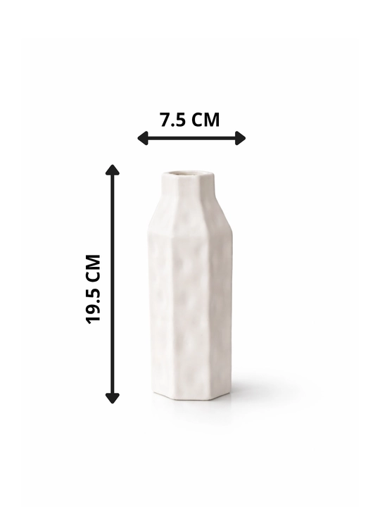 Interyer uchun dekorativ plastik vaza