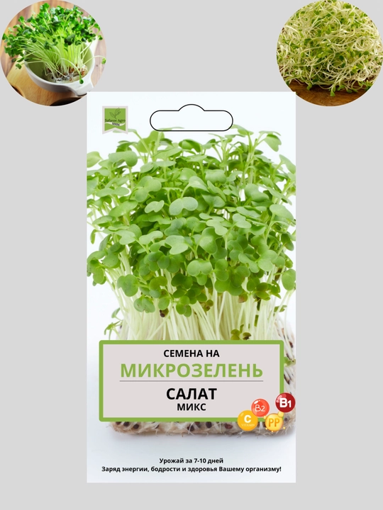 Семена микрозелени, микрозелень, для проращивания, мангольд, дайкон, брюква, горох - 