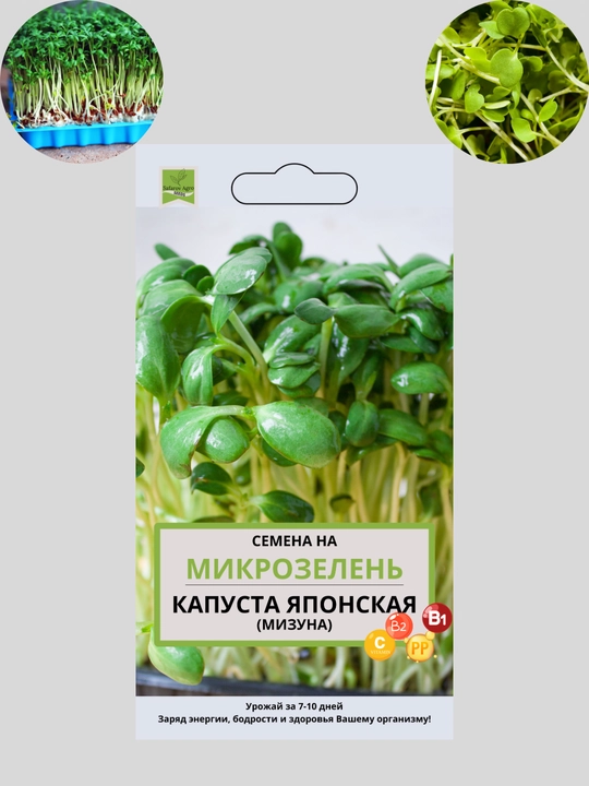 Семена микрозелени, микрозелень, для проращивания, мангольд, дайкон, брюква, горох - 