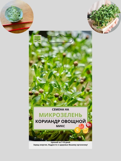 Семена микрозелени, микрозелень, для проращивания, мангольд, дайкон, брюква, горох - 