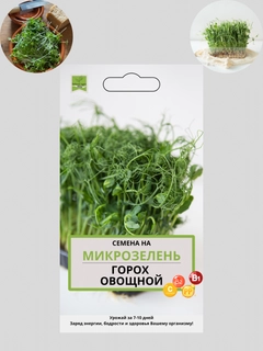 Фуксия