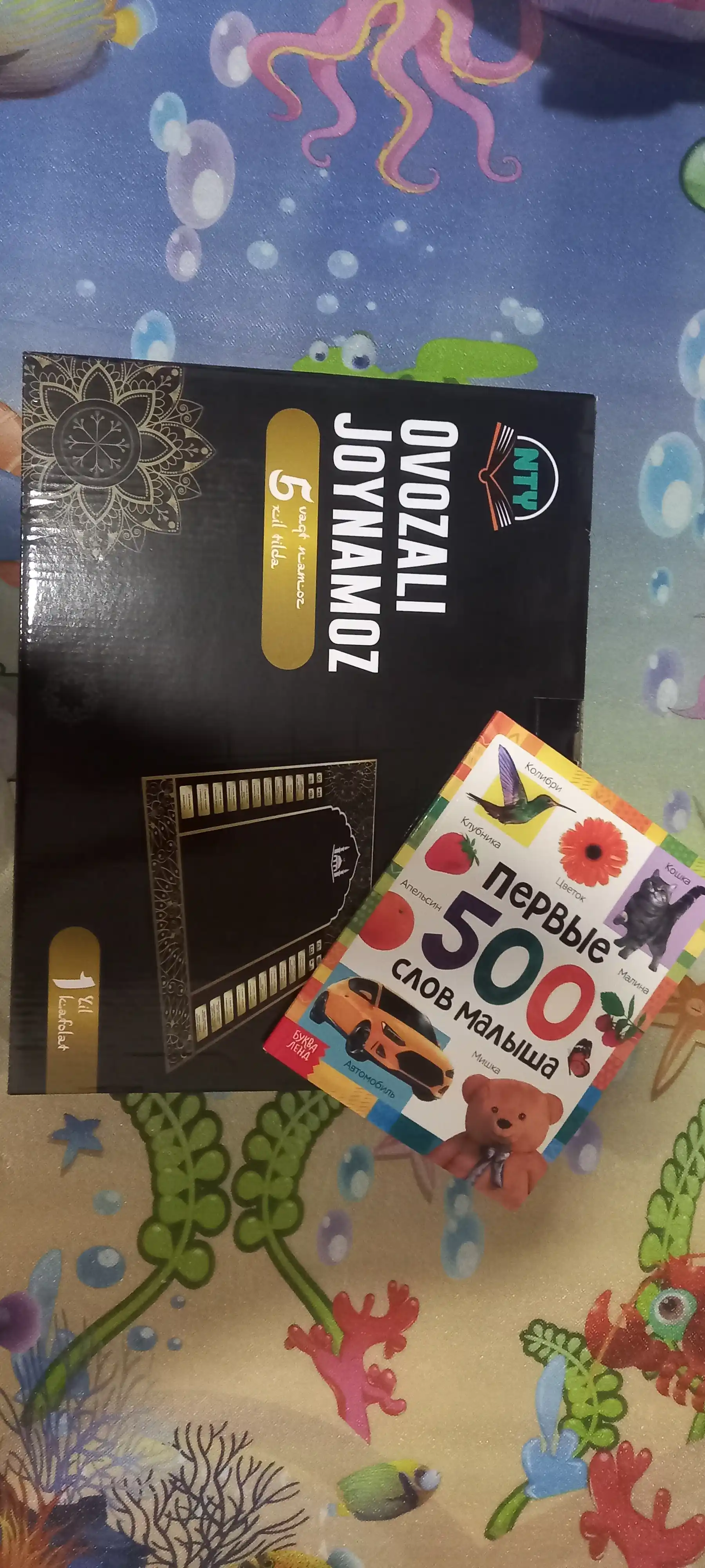 Bolalar uchun rasmali lug'at: Ilk 500 so'z, 80 bet, qattiq muqova, rivojlantiruvchi kitob