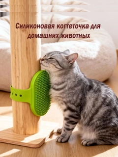 Зеленый