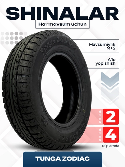 Автомобильные всесезонные шины Tunga Zodiac, в комплекте по 2 и 4 штуки — LARGOMA-ZODIAC-19565R15-4dona