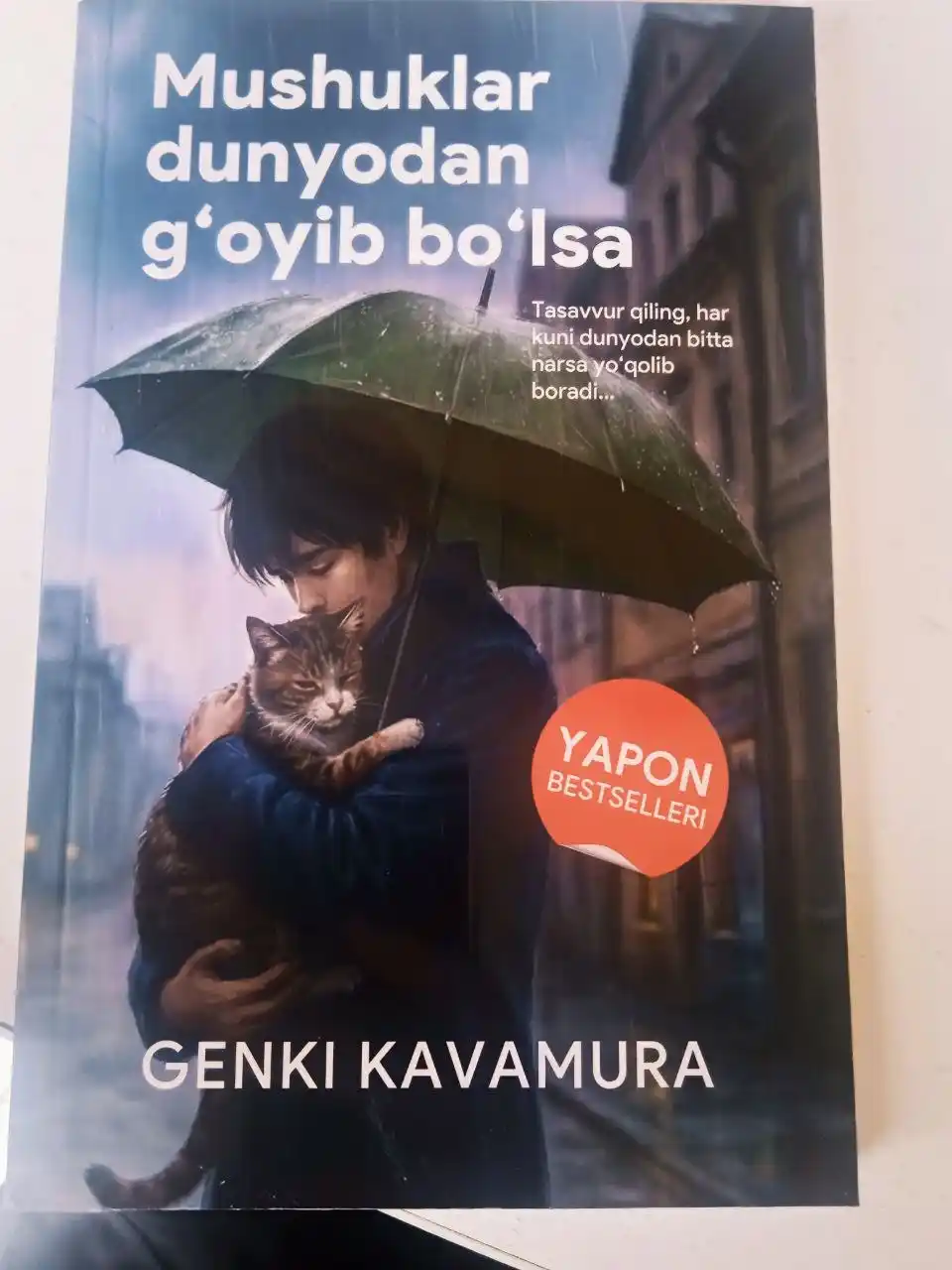 Если все кошки в мире исчезнут, Генки Кавамура