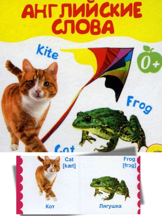 «Kitob-konfetlar (yashil)», 6 ta to‘plam, 345×248 mm, karton, 0+