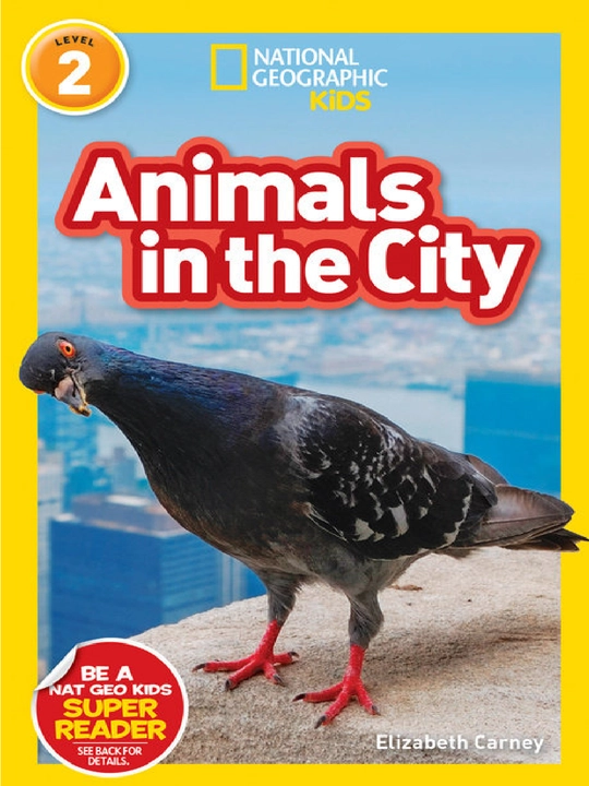 National Geographic Kids ta'lim kitoblari to'plami: Level 2 darajasi - 