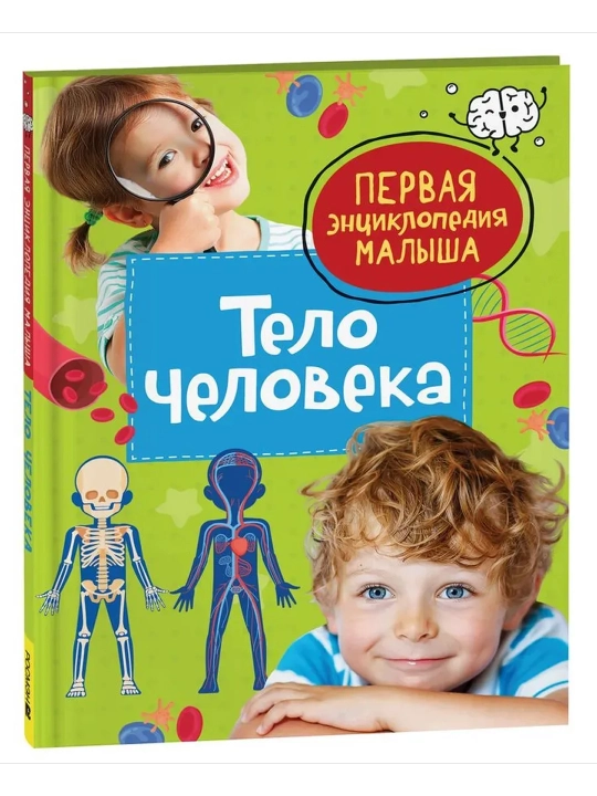 Тело человека. Первая энциклопедия малыша. Попова Лариса Александровна - 