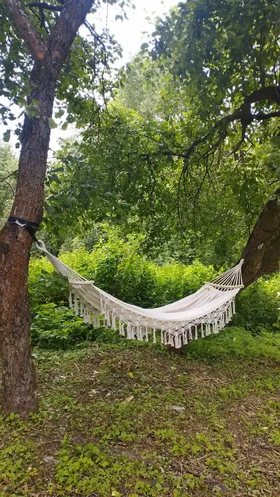Gamak kottejlar va bog'lar uchun
