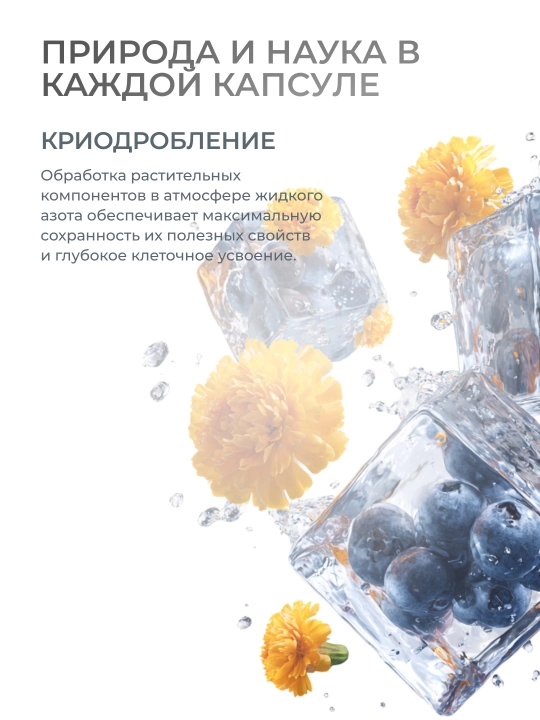 S2S (Project V) ko‘z va to‘r parda uchun vitaminlar: lutein, zeaksantin, chernika 140 mg