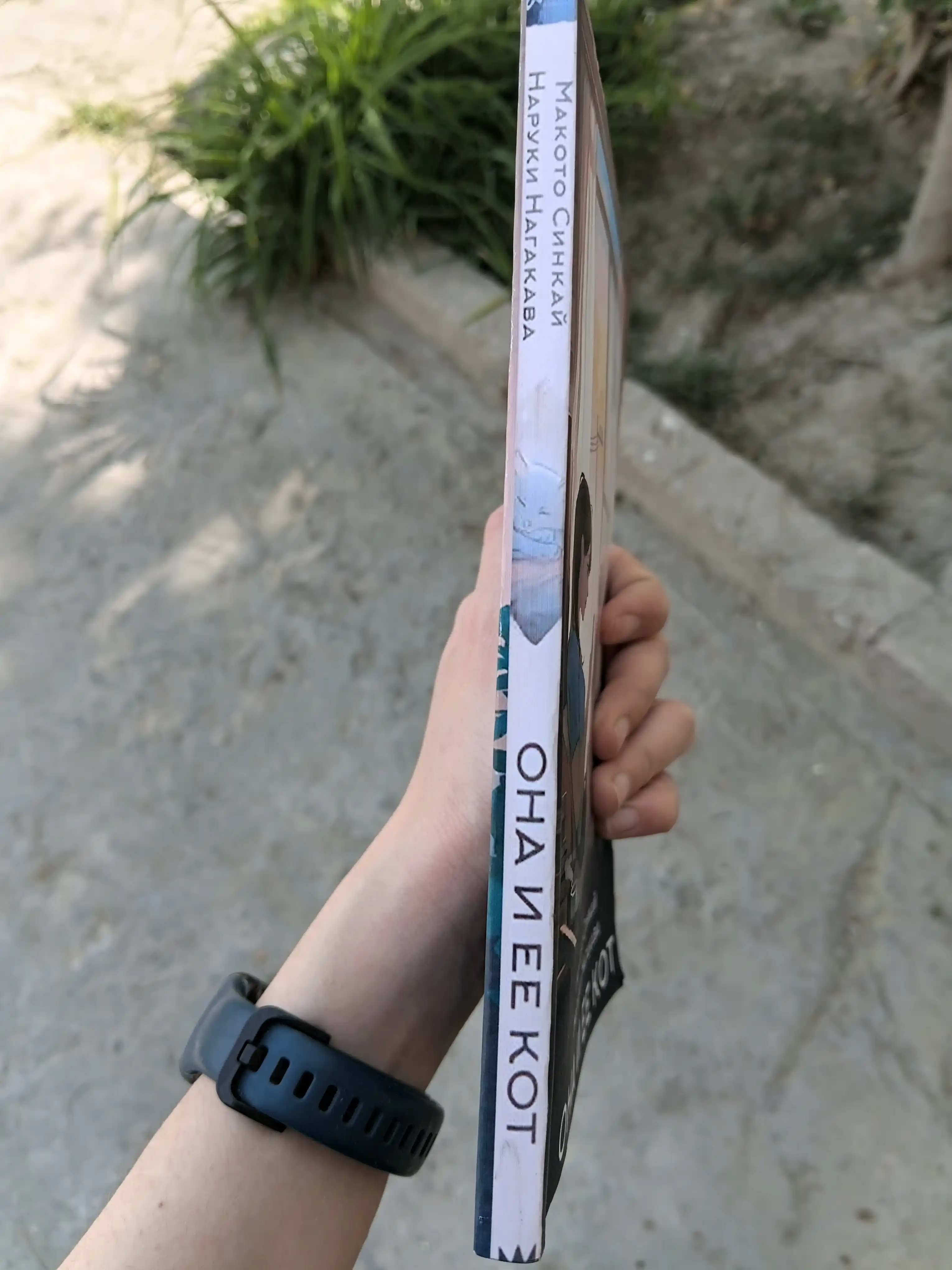 Ona i yee kot, kniga Makoto Sinkay, Naruki Nagakava