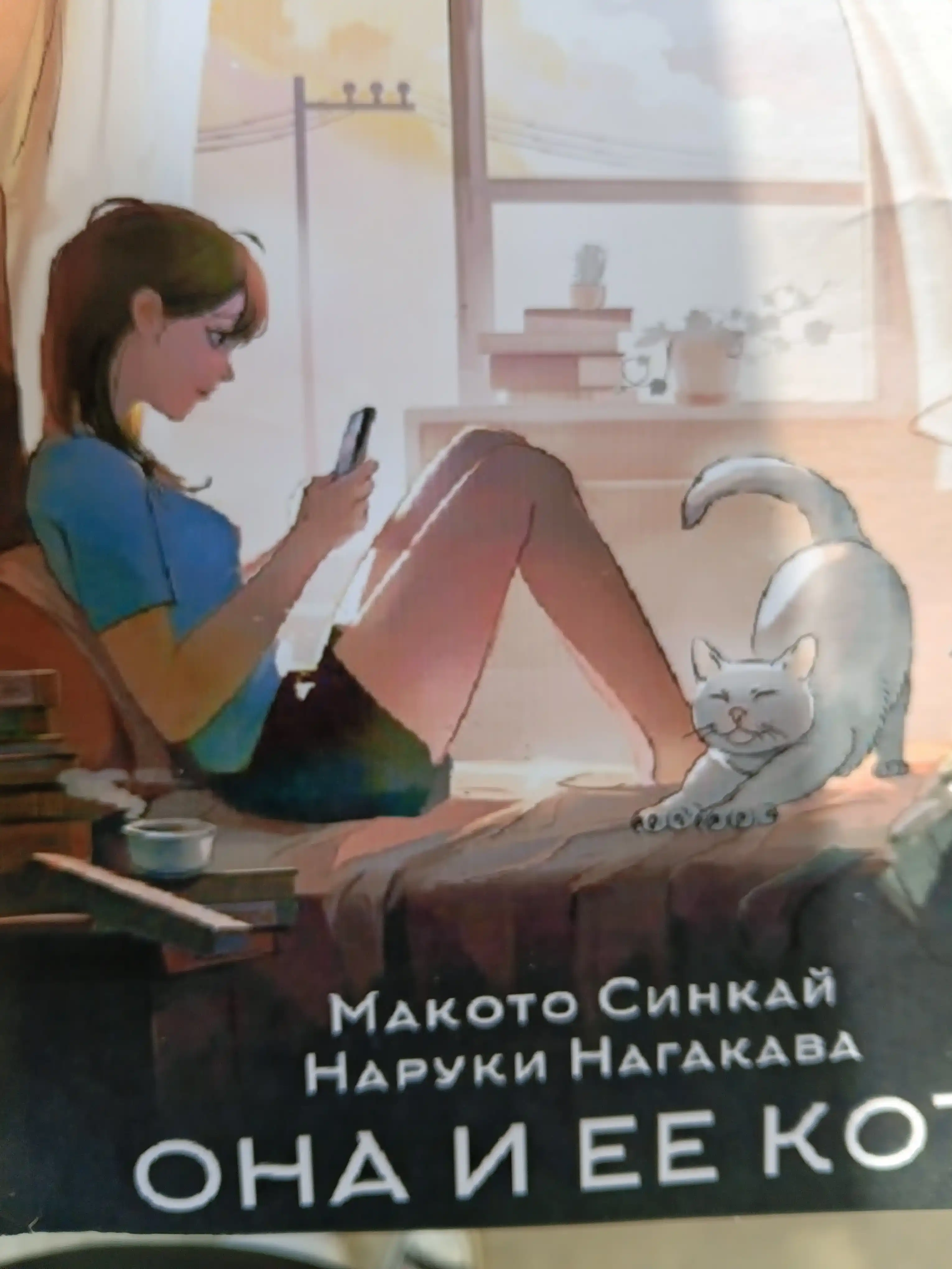 Ona i yee kot, kniga Makoto Sinkay, Naruki Nagakava