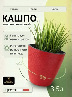 Красный