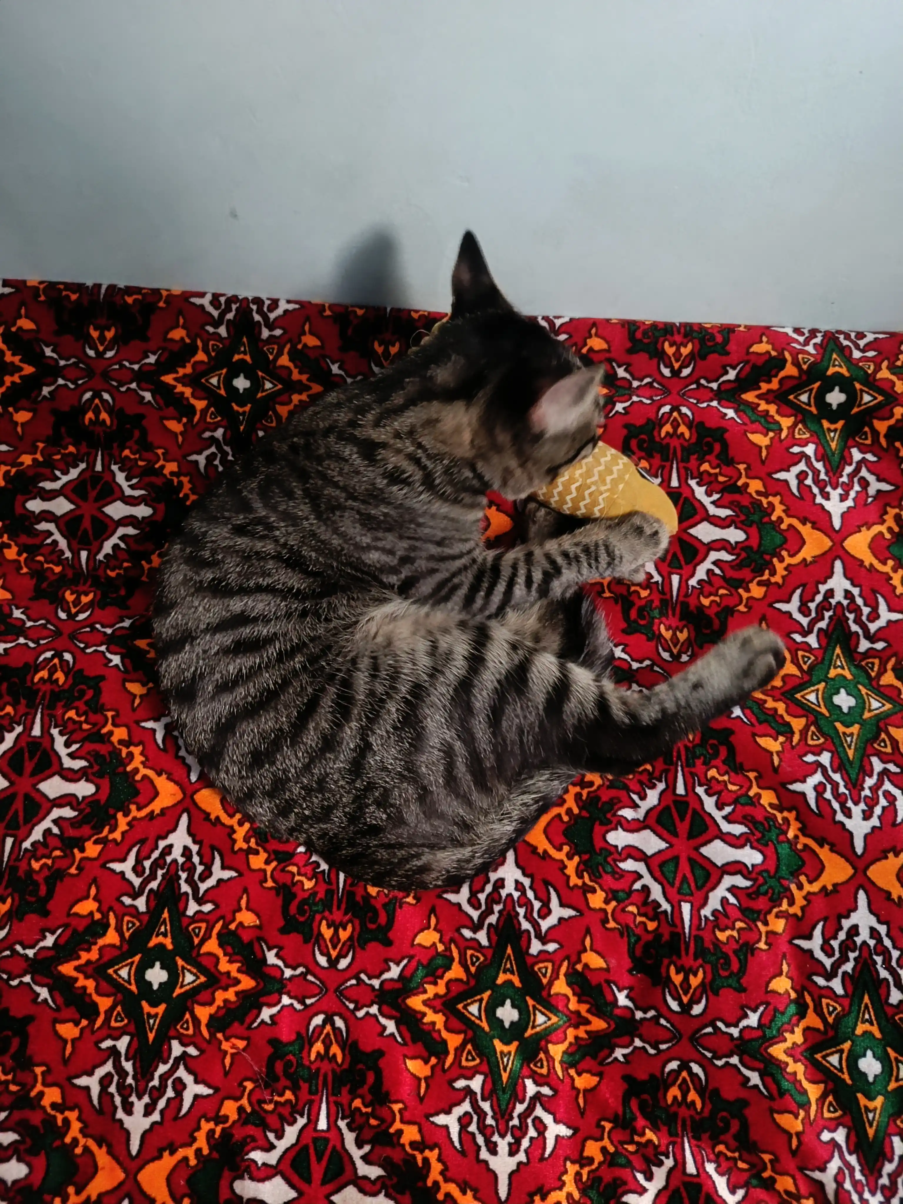 Игрушка для кошек рыбка с кошачьей мятой и валерианой