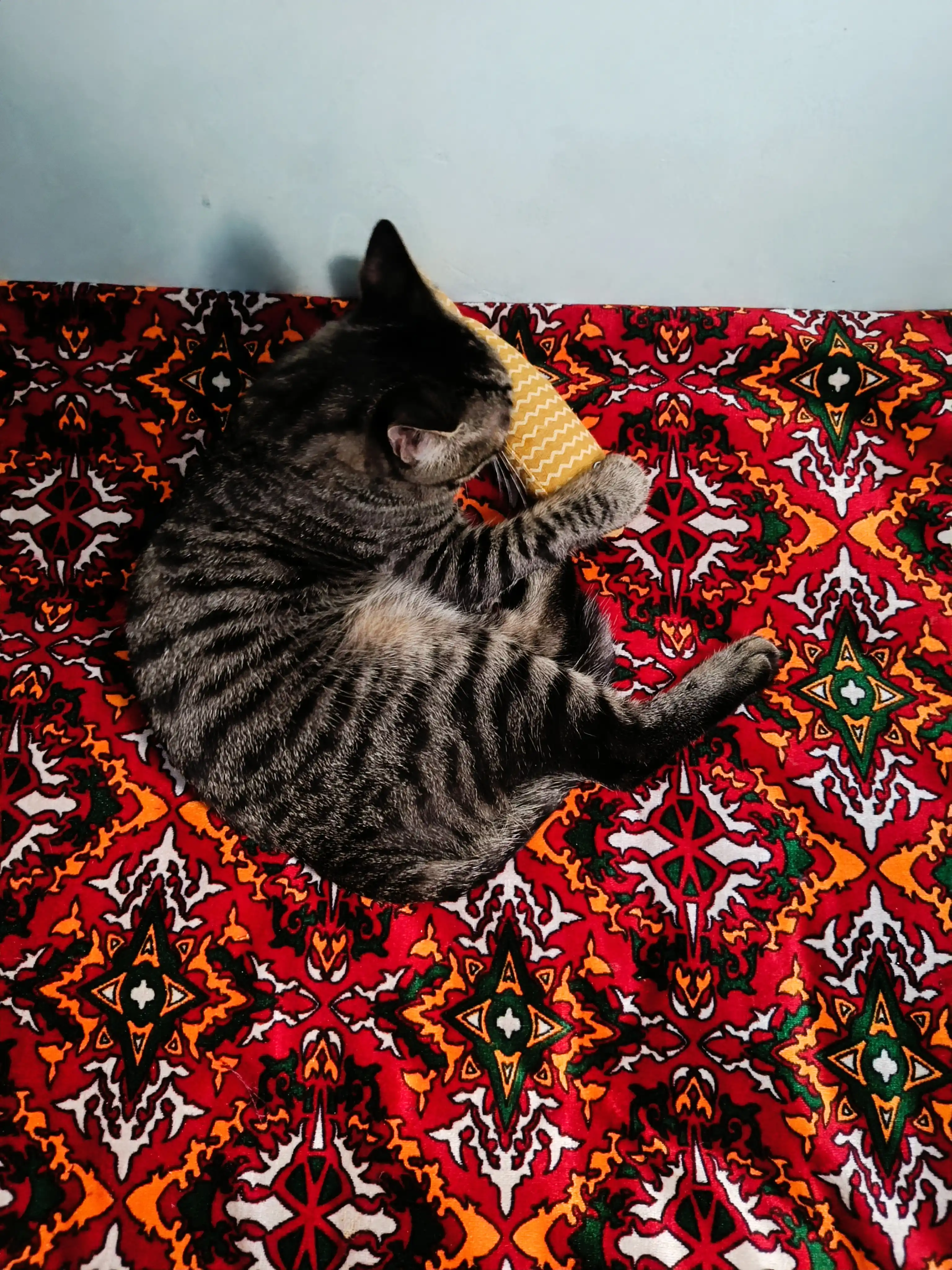 Игрушка для кошек рыбка с кошачьей мятой и валерианой