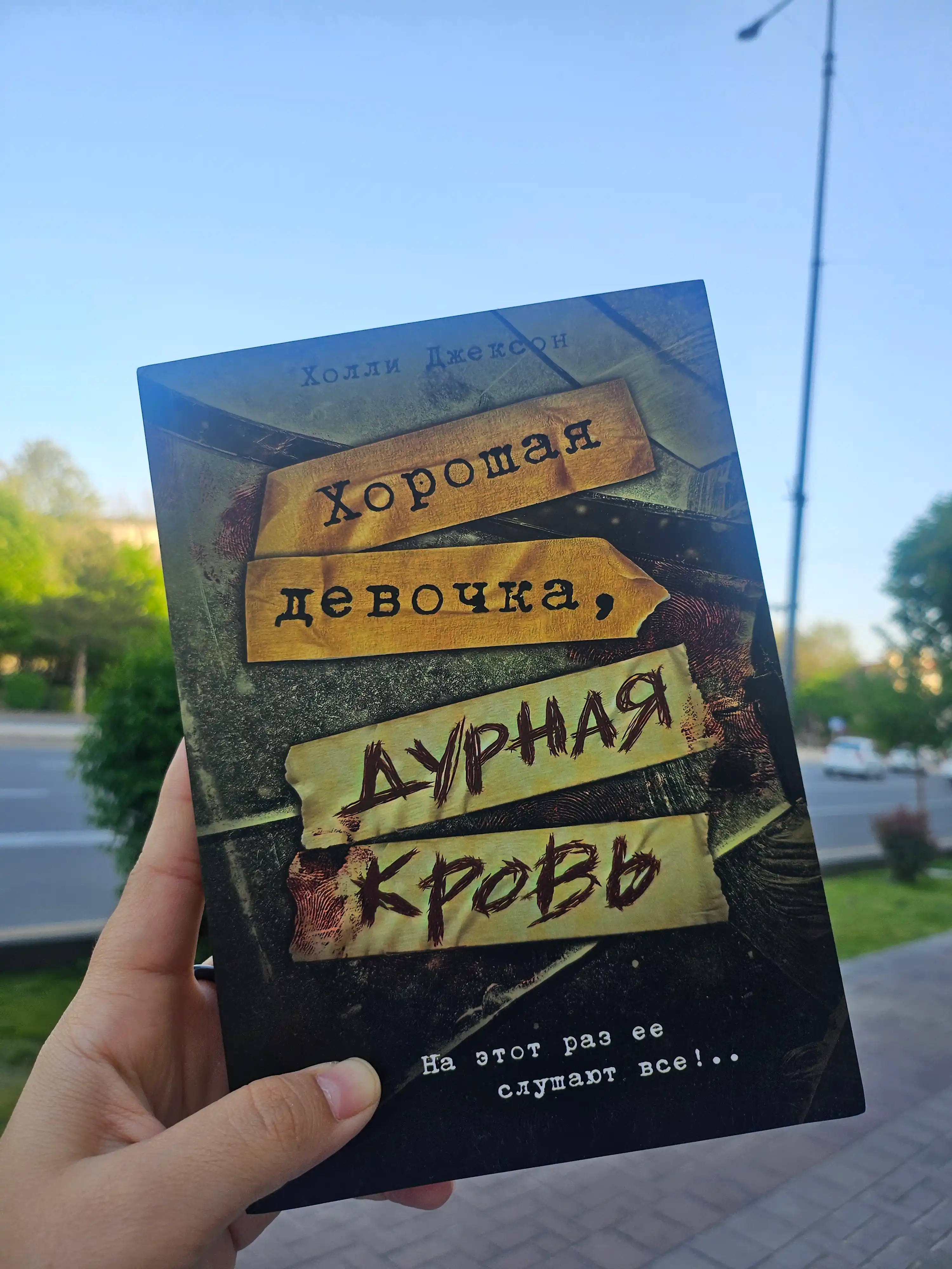 Трилогия Холли Джексон, серия Хороших девочек не убивают, Джексон Холли