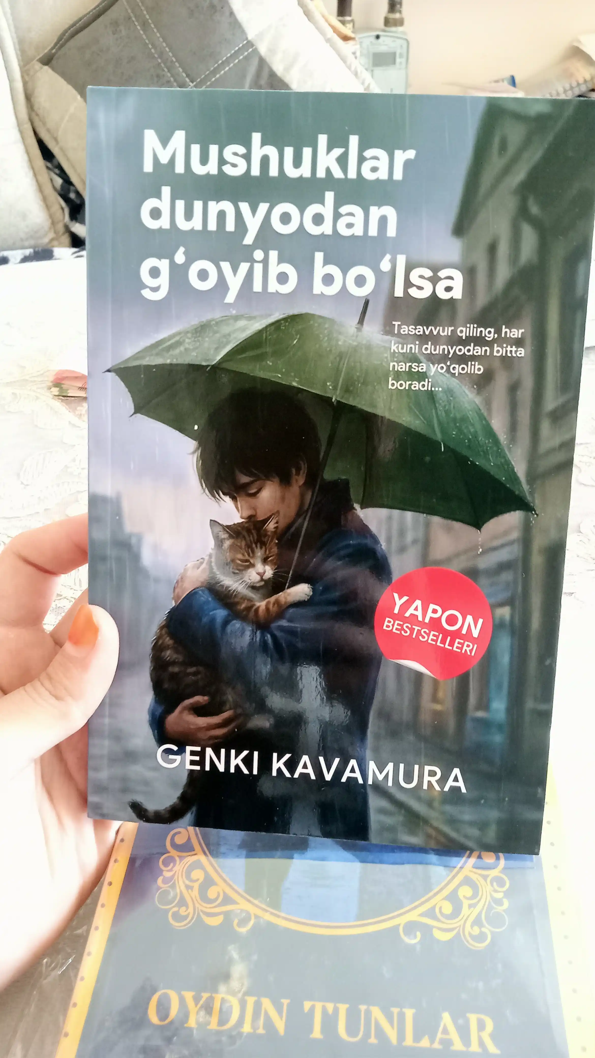 Если все кошки в мире исчезнут, Генки Кавамура