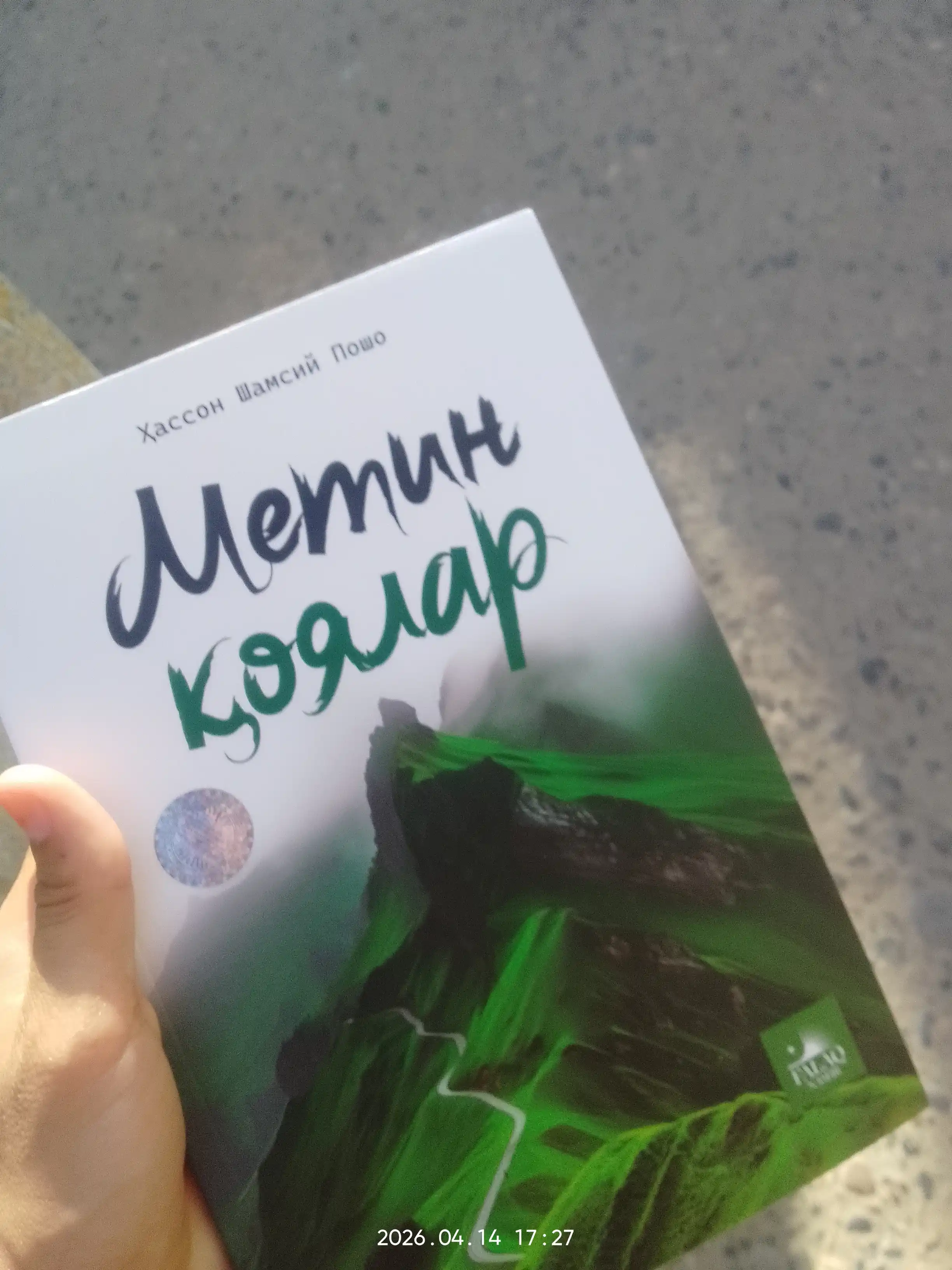 Метин коялар, Хассон Шамсий Пошо