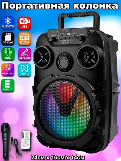 Караоке-колонка Bluetooth ZQS 6166, 14100 + микрофон