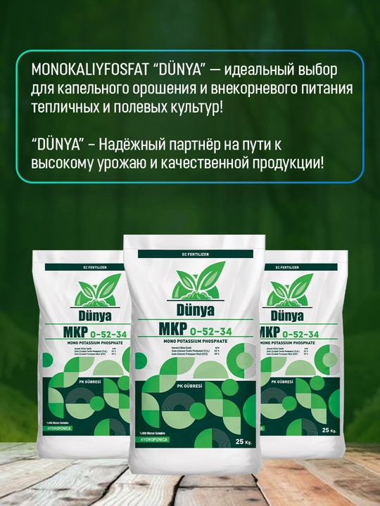 МКП 0:52:34 (50г)
