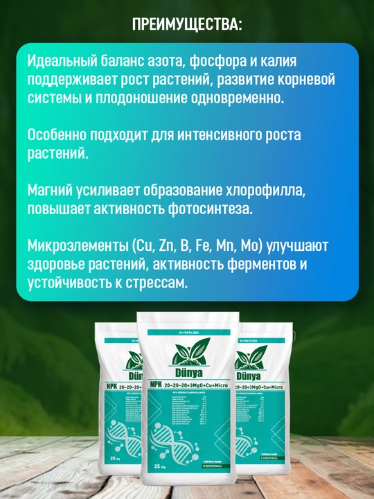 NPK 20:20:20 (100gr)
