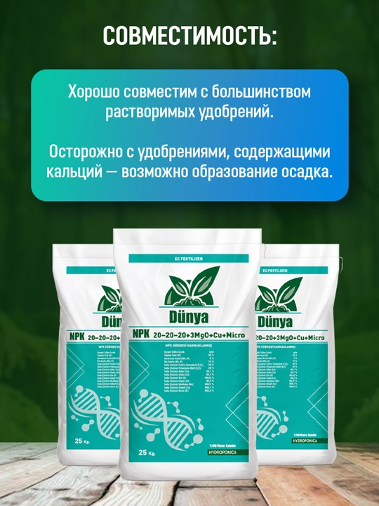 NPK 20:20:20 (100gr)