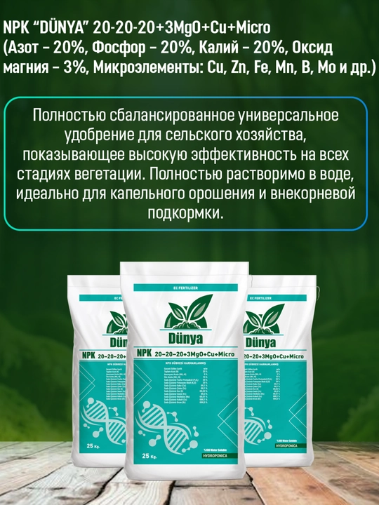 NPK 20:20:20 (100gr)