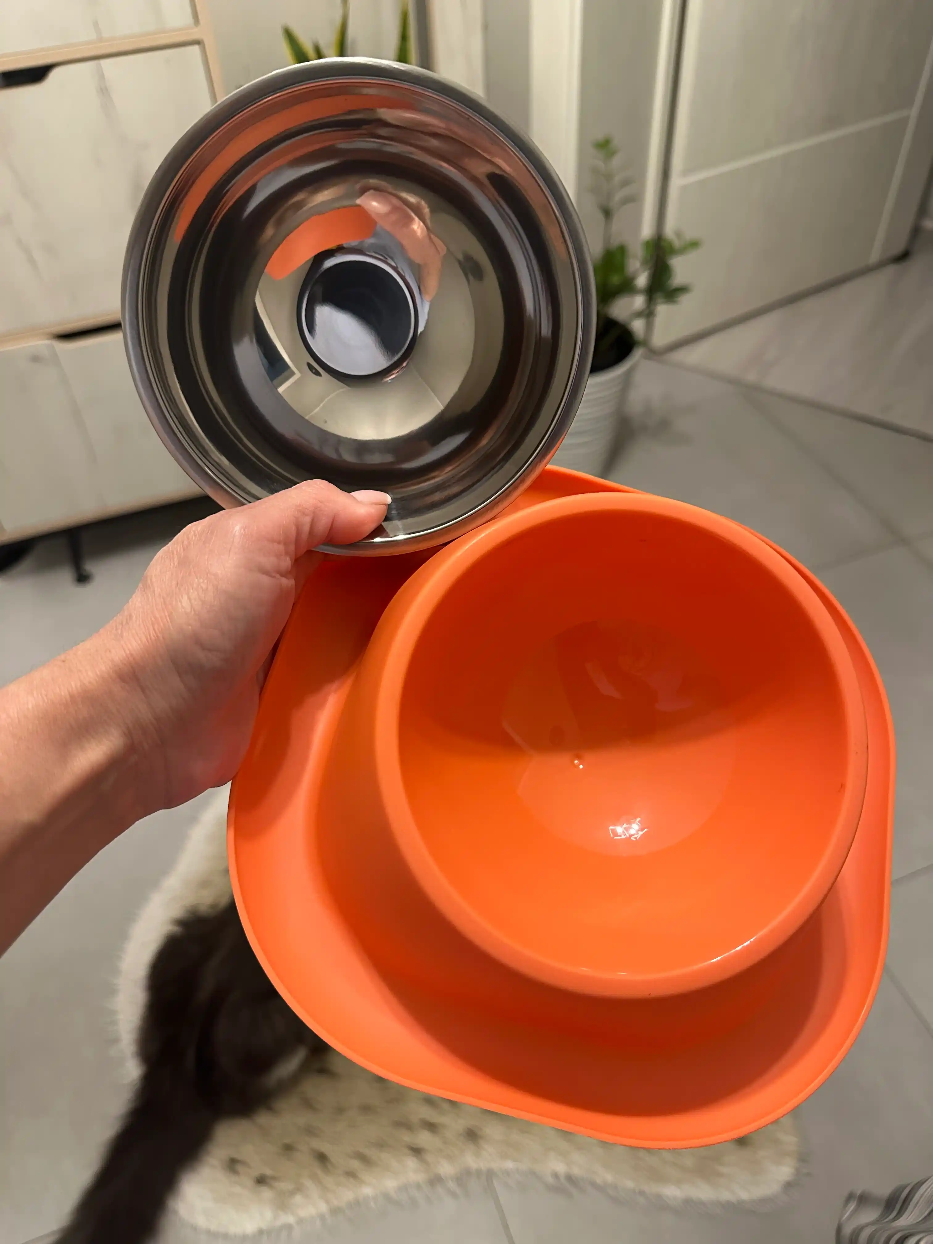 Kichik zotli itlar, Mushuklar va mushukchalar uchun plastik stenddagi metall idish