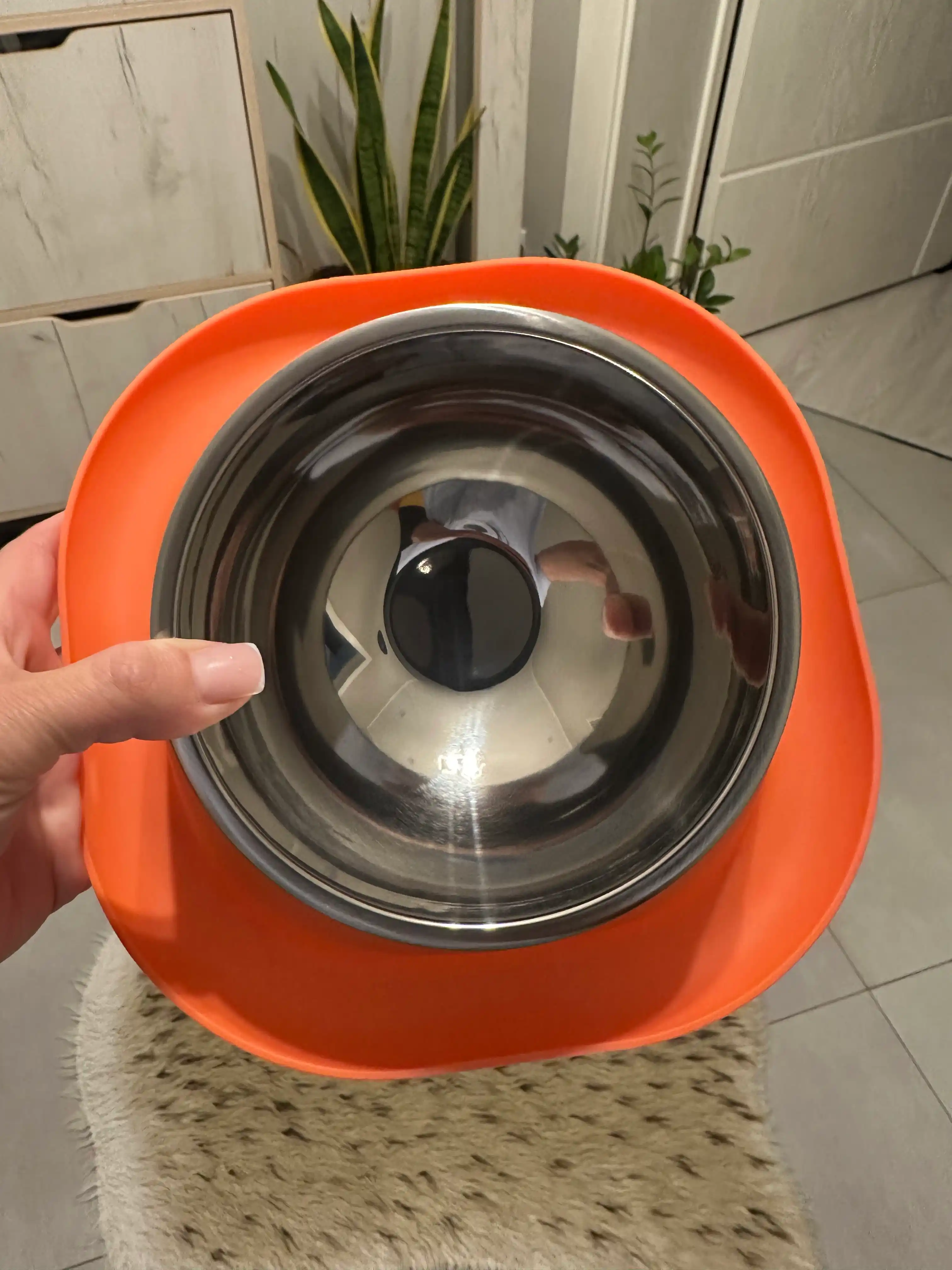 Kichik zotli itlar, Mushuklar va mushukchalar uchun plastik stenddagi metall idish
