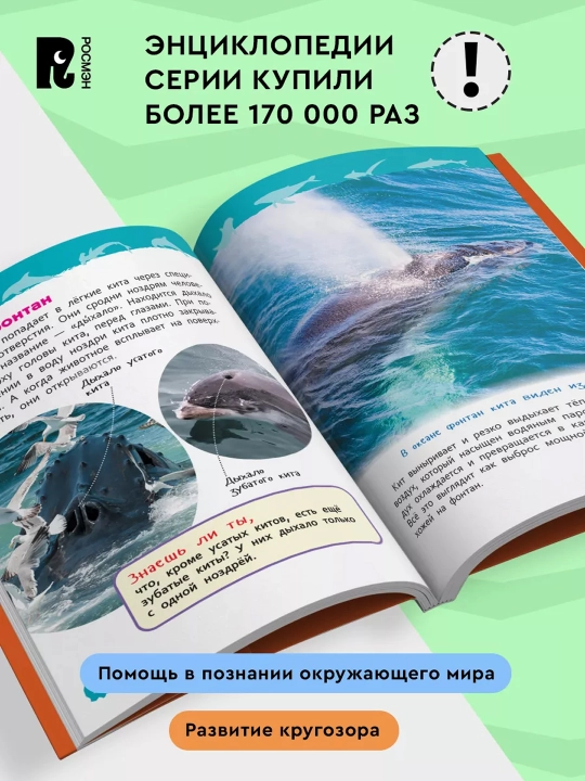 Акулы, киты и дельфины (Энциклопедия для детского сада). Попова Лариса Александровна