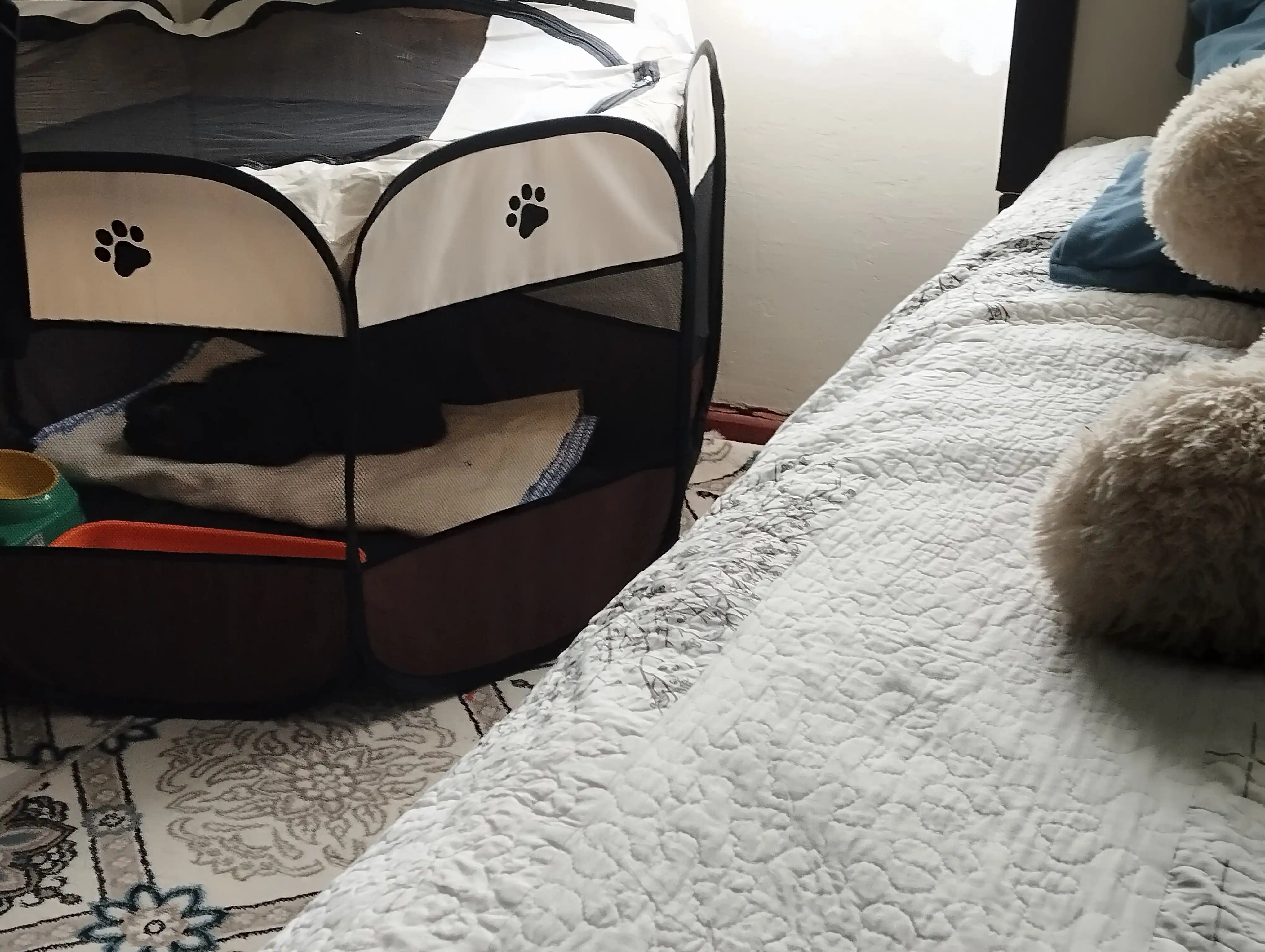 Mushuklar va itlar uchun buklanadigan volyer-manej tent, S-M-L