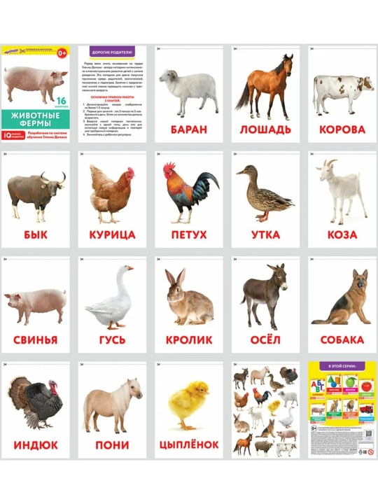 Набор из 8 развивающих и обучающих IQ карточек по методике Домана / Карточки Домана