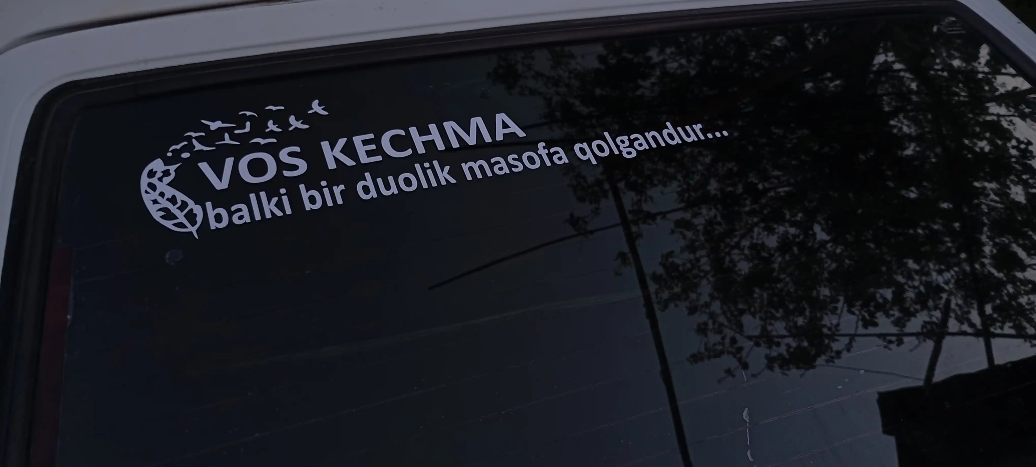 Наклейка на бампер