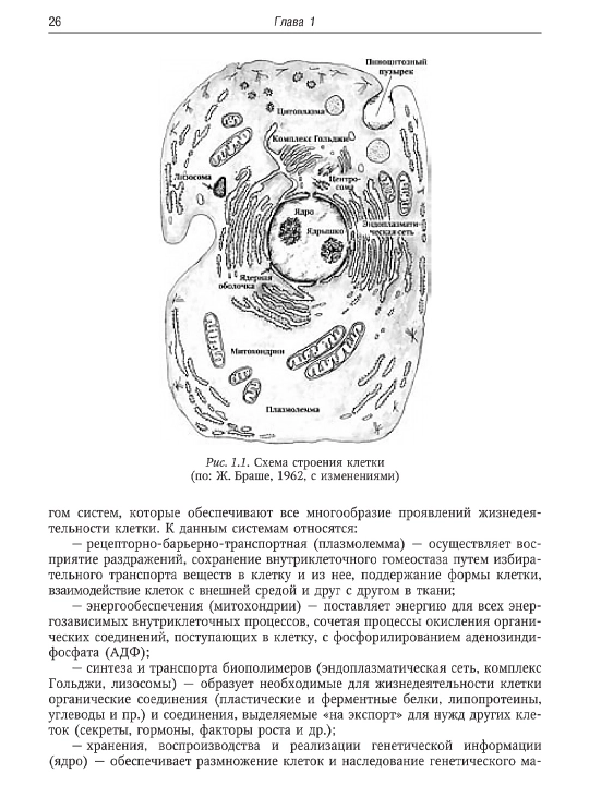 Руководство по гистологии — том 1 и 2/ Русский язык