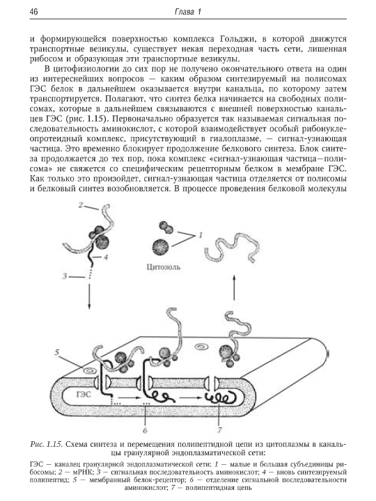 Руководство по гистологии — том 1 и 2/ Русский язык