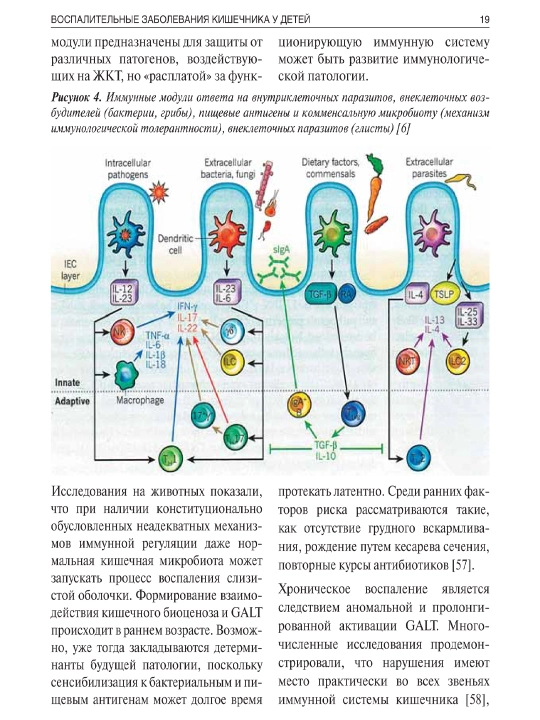 Руководство по гистологии — том 1 и 2/ Русский язык