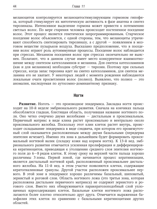 Руководство по гистологии — том 1 и 2/ Русский язык