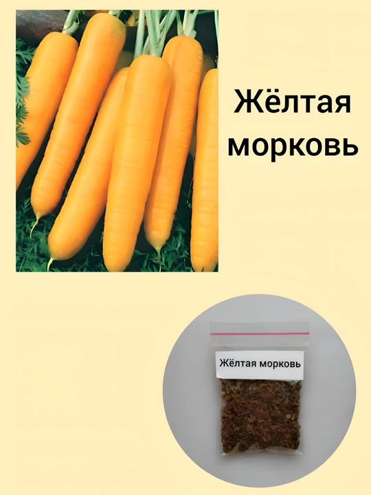 Семена моркови - 
