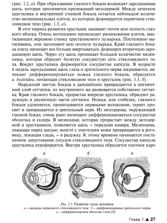 Oftalmologiya — talabalar va shifokorlar uchun darslik,tibbiy adabiyot
