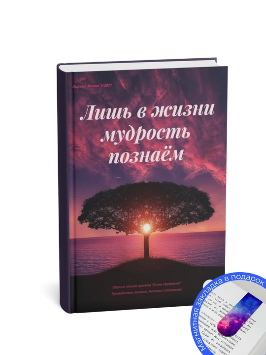 Жизнь Прекрасна. Лишь в жизни мудрость познаём
