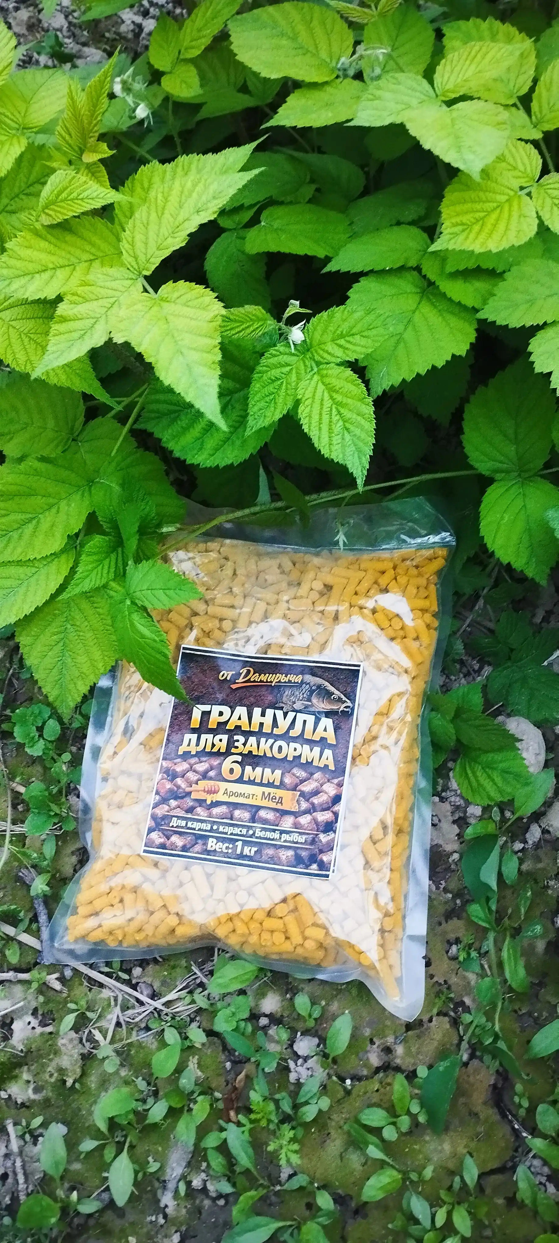 Закормочные гранулы, 6 мм, для карпа и карася, пеллетс, прикормка, 1 кг, мёд, клубника, чеснок