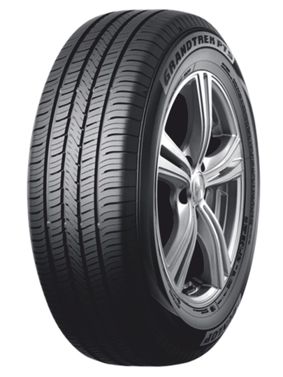 Dunlop Grandrek PT5 — 3502252-PT5-25545R20